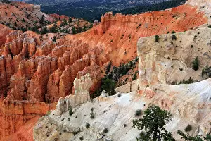 Bryce Prints: Exploring the unique rock formations and landscape of Bryce Canyon in Utah, USA