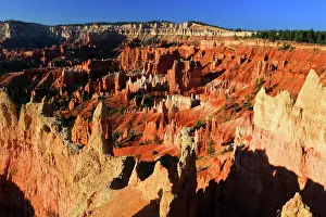 Bryce Prints: Exploring unique rock formations and landscapes of Bryce Canyon under bright blue sky in Utah