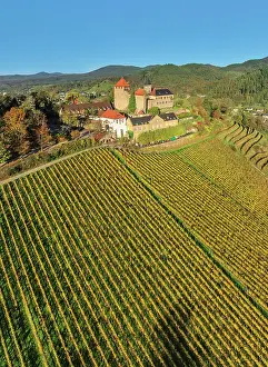 Chateau Prints: Exploring vineyards near Schloss Eberstein Castle in Black Forest of Baden-Wurttemberg with bright blue sky