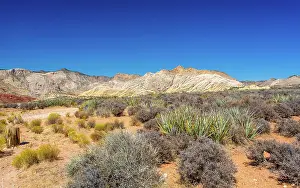 George Prints: Exploring the White Rocks at Snow Canyon State Park near St. George, Southern Utah
