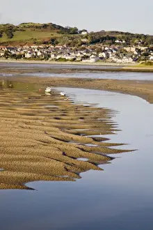 Exposed rippled sandbank on Conwy River estuary at low tide