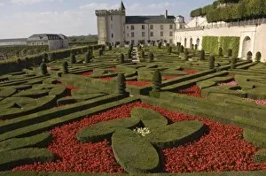 Images Dated 22nd September 2008: Part of the extensive flower and vegetable gardens, Chateau de Villandry
