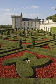 Part of the extensive ornamental flower and vegetable gardens, Chateau de Villandry