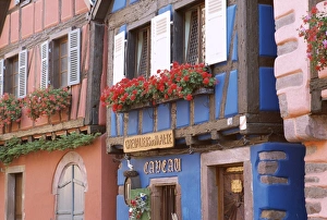 Window Box Prints: Exterior of blue house with windowboxes of geraniums, Niedermorschwihr