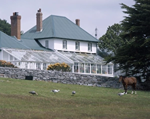 Islas Malvinas Prints: Exterior of Government House, Stanley, Falkland Islands, South America