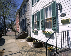 Maryland Prints: Exterior of houses on a typical street