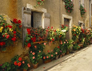 Landes Prints: Exterior of a Rustic House Covered with Flowers, Landes, Aquitaine, France