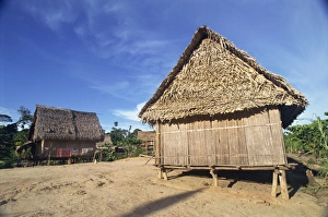 Tribal People Prints: Exterior of thatched houses in Pablos second village