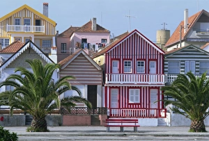 Exteriors of painted houses on a street in Costa Nova