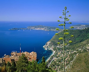 Eze and St. Jean-Cap-Ferrat, Cote d Azur, Provence, France, Europe