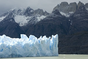 Grey Glacier Prints: Face of Glaciar Grey (Grey Glacier) on Lago de Grey