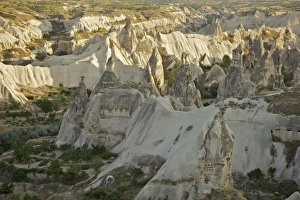 Images Dated 19th August 2010: Fairy Chimneys rock formation landscape near Goreme, Cappadocia, Anatolia, Turkey, Asia Minor