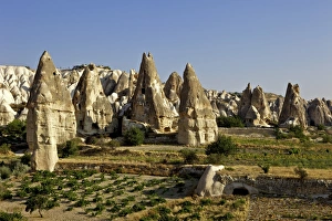 Images Dated 19th August 2010: Fairy Chimneys rock formation landscape near Goreme, in Cappadocia, Turkey