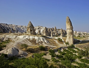 Images Dated 19th August 2010: Fairy Chimneys rock formation landscape near Goreme, Cappadocia, Anatolia, Turkey, Asia Minor