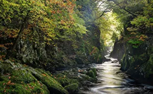 Fairy Glen, Betws y Coed, Conwy, Snowdonia, Wales, United Kingdom, Europe