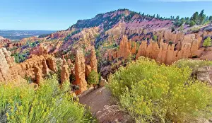 Spires Prints: Fairyland Point and hoodoos, Bryce Canyon National Park, Utah, United States of America
