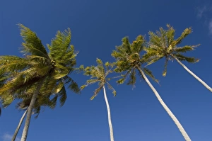 Fakarawa, Tuamotu Archipelago