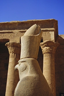 Falcon Prints: Falcon headed Horus statue, Temple of Horus, Edfu, Egypt, North Africa