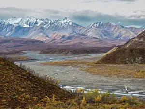 Shrub Prints: Fall color change amongst the trees and shrubs in Polychrome Pass in Denali National Park