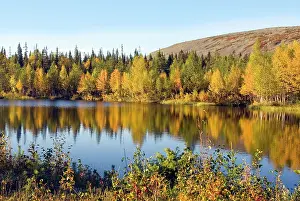 Finland Prints: Fall colors reflect in the lake at Pyha-Luosto National Park in Lapland Finland during autumn season