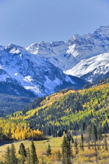 Ouray Prints: Fall Colors, Road 7, Sneffels Range in the background, near Ouray, Colorado, United