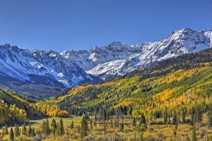 Fall Colors, of Road 7, Sneffle Range in the background, near Ouray, Colorado, United