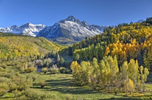 Ouray Prints: Fall Colors, of Road 7, Sneffle Range in the background, near Ouray, Colorado, United