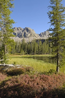Rocky Mountains Prints: Fall colours around Lower Cramer Lake, Sawtooth Mountains, Sawtooth Wilderness