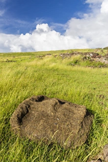 Overgrown Prints: Fallen moai head at the archaeological site at Ahu Vinapu