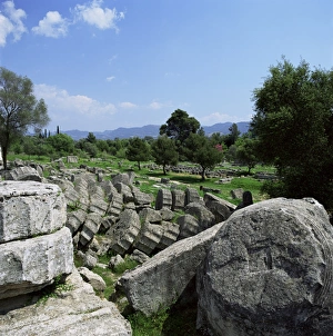 Olympia Prints: Fallen pillars from the Temple of Zeus