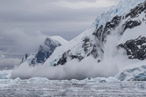 Powder Snow Prints: Falling avalanche of snow and ice in Neko Harbor, Antarctica, Polar Regions
