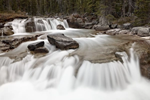 Albert A Prints: Falls on Nigel Creek, Banff National Park