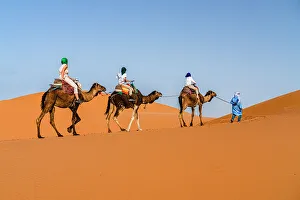 Boys Prints: Family with one child enjoying a camel ride in the desert