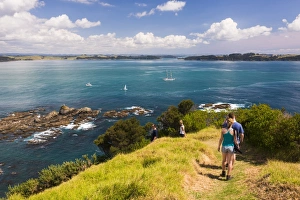 Mature Men Prints: Family walking on Tapeka Point, Russell, Northland Region, North Island, New Zealand