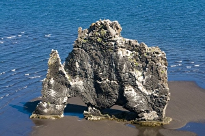 Images Dated 10th June 2009: Famous Hvitserkur rock formation offshore, Vatnsnes Peninsula, Iceland, Polar Regions