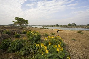 Gondar Prints: The famous outlet of the Blue Nile into Lake Tana, local man carrying a tankwa