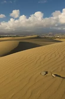 Images Dated 27th December 2008: Famous sand dunes of Maspalomas, Gran Canaria, Canary Islands, Spain, Europe
