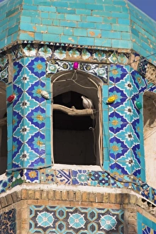 Afgani Prints: Famous white pingeon in minaret, Shrine of Hazrat Ali, who was assassinated in 661