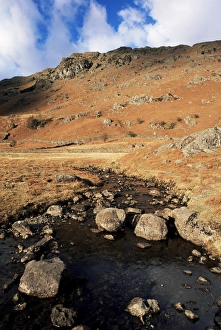 Fern Prints: Far Easedale Gill, Easedale, above Grasmere, Lake District National Park