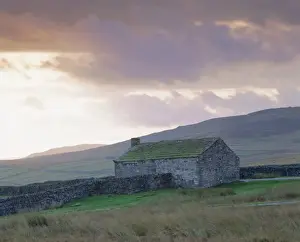 Cottage Prints: Farm building, Swaledale, Yorkshire Dales National Park, Yorkshire, England, UK, Europe