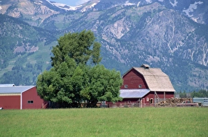 Wyoming Prints: Farm buildings with mountain slopes behind