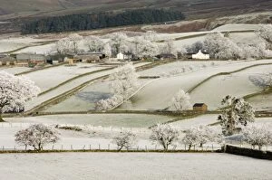 Images Dated 1st December 2008: Farm community, the Pennines in winter, Cumbria, England, United Kingdom, Europe