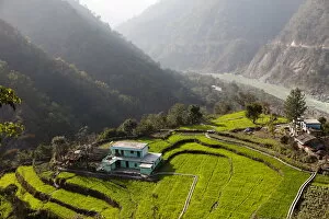 Images Dated 21st June 2010: Farm among a green fields close to Rishikesh, Uttarkhand, India, Asia