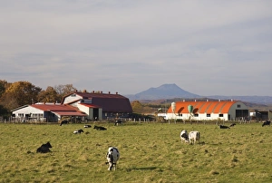 Images Dated 25th October 2007: Farm, Hokkaido