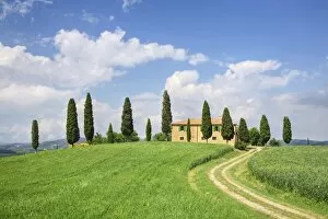 Farm house with cypress tree, Pienza, Val d Orcia, UNESCO World Heritage Site, Tuscany, Italy, Europe