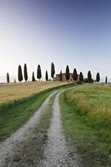 Rural Road Collection: Farm house with cypress trees, near Pienza, Val d Orcia (Orcia Valley), UNESCO World Heritage Site