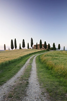 Pienza Prints: Farm house with cypress trees, near Pienza
