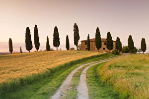 Pienza Prints: Farm house with cypress trees at sunset, near Pienza, Val d Orcia (Orcia Valley)