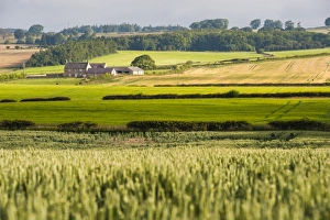 Farm House Prints: Farm house in Northumberland National Park