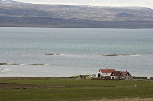 Fjords Prints: Farm, Hrutafjorour Fjord, Iceland, Polar Regions
